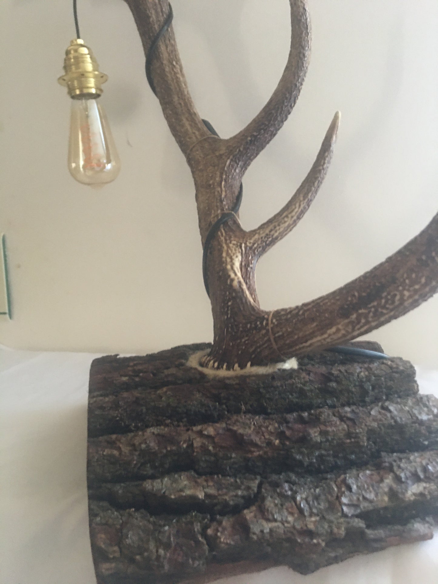 Lampe bois de cerf