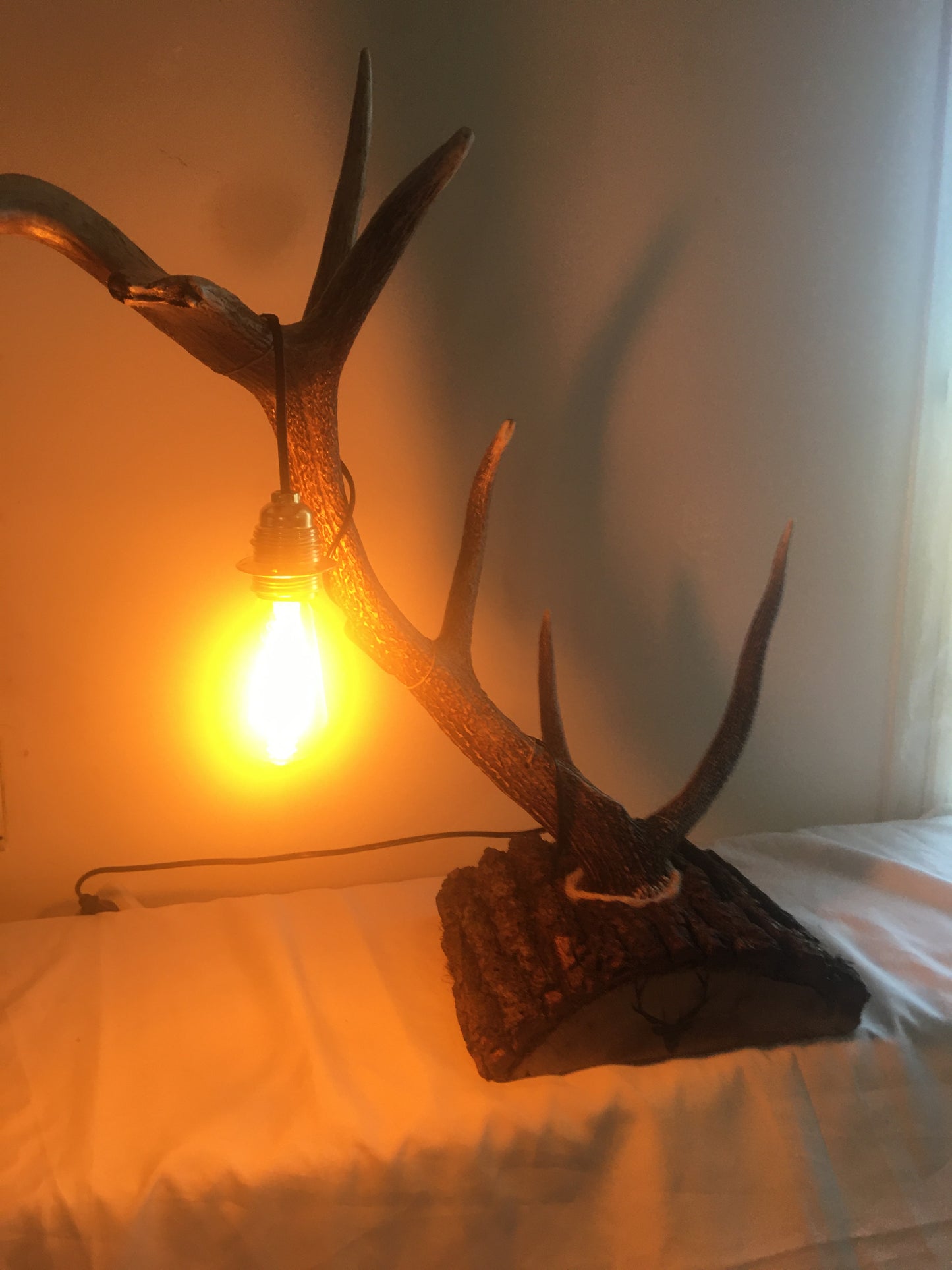 Lampe bois de cerf