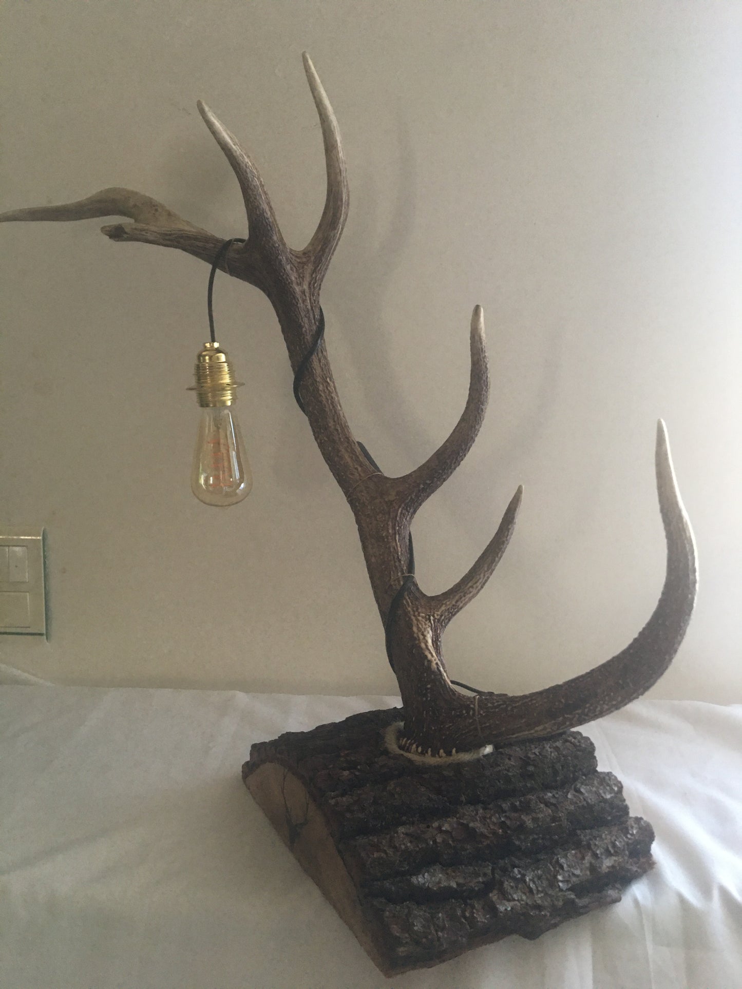 Lampe bois de cerf