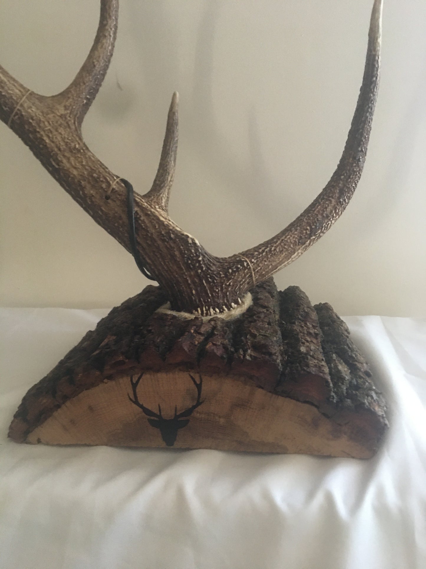 Lampe bois de cerf