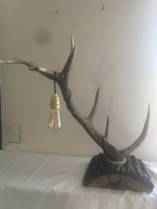 Lampe bois de cerf