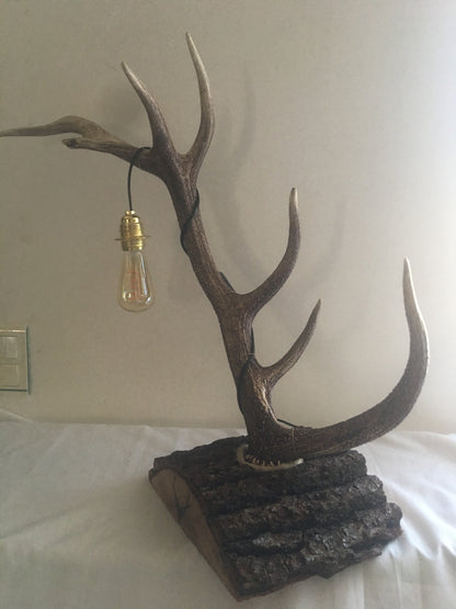 Lampe bois de cerf